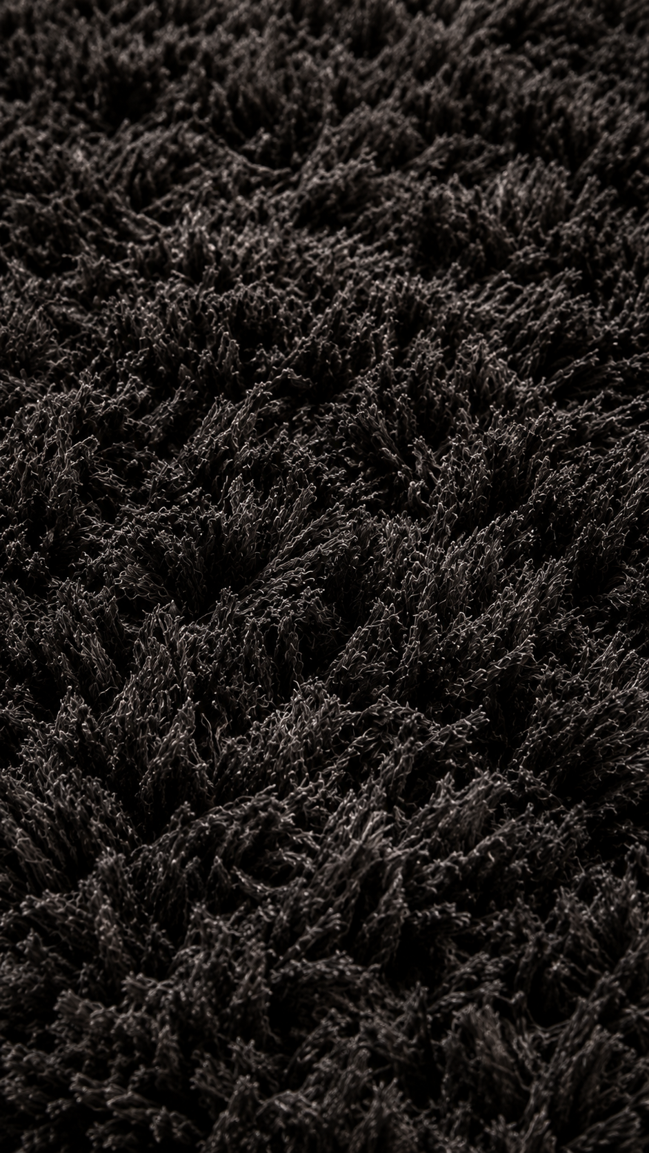 Tapis Salon en jute Noir | Aven
